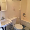 a1-1120-Giant-toilet